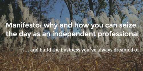#7 Manifesto: why and how you can seize the day as an independent professional